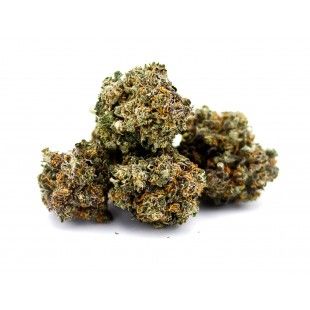 Strawberry Diesel 100pour100 CBD - 100 % ou 100%