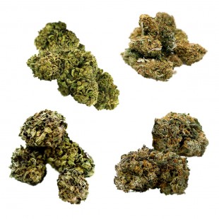 Pack Eco