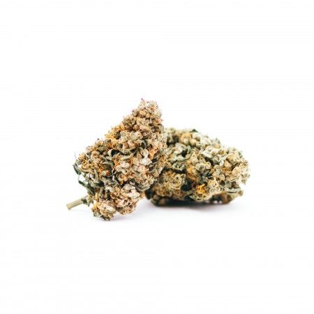 Watermelon Cookies 100pour100 CBD - 100 % ou 100%