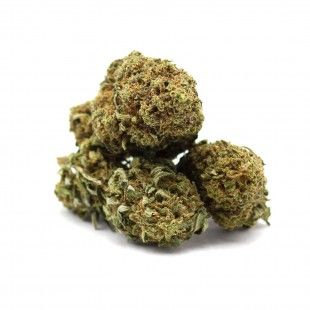 Skittlez 100pour100 CBD - 100 % ou 100%