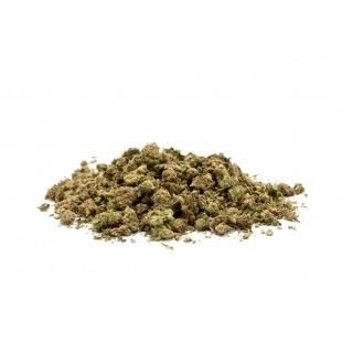 CBD Trim France World Tour